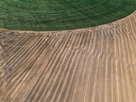 Field texture top view Stock Photos
