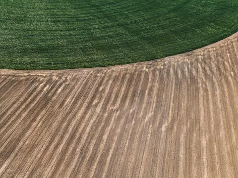 Field texture top view Stock Photos