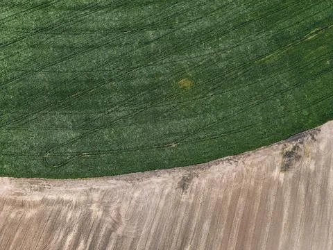 Field texture top view Stock Photos