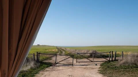 Field through the curtains Stock Photos