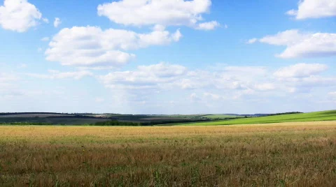 Field. time lapse Stock Footage 492869