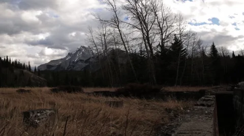 Field Time Lapse Stockbeeldmateriaal 43965046