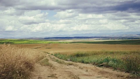 Field, Time Lapse Stock Footage 71938710