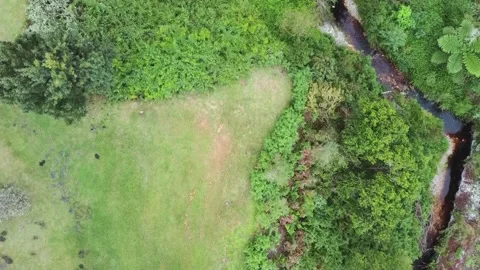 Field top down - Campher's Drift 2 Stockbeeldmateriaal 177384713