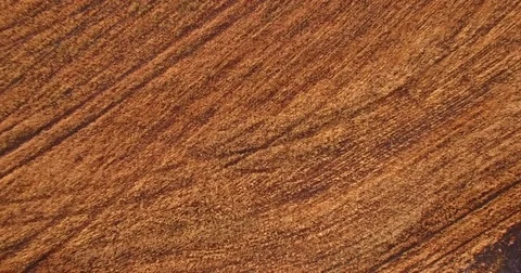 Field with tracks from above Stock Footage 82698147