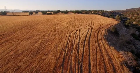 Field with tracks from above Vídeos de archivo 82698706