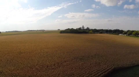 Field tractor Vídeos de archivo 42402210