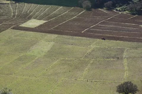 A field with a tractor in the middle Stock Photos