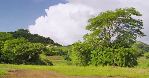 Field with trees and beautiful sky. Costa Rica. Stock Footage 82768339