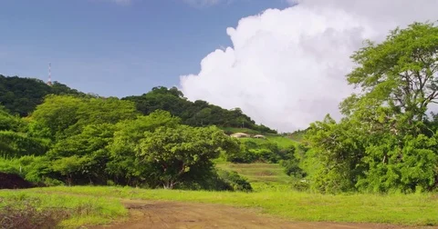 Field with trees and beautiful sky. Costa Rica. Stock Footage 82792803