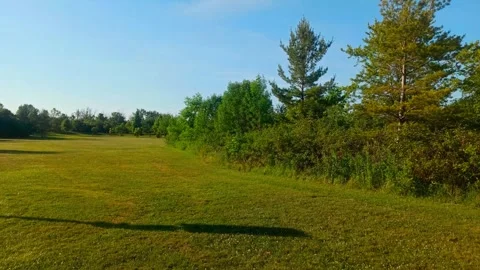 Field with Trees and Blue Sky – Peaceful Nature Landscape in 4K Stock Footage 312237953