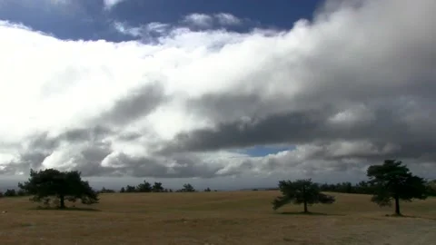 FIELD WITH TREES AND CLOUDS MOVING FAST BY THE WIND Stock Footage 96285796