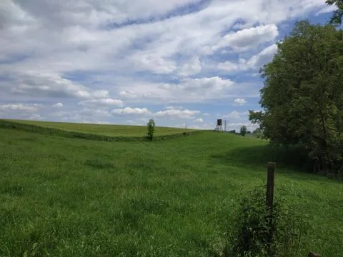 Field with trees, blue sky, clouds and high seat Stock Photos