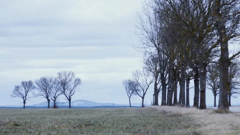 Field, trees, clouds, mountains on the horizon. Landscape. Time lapse. Stock Footage 104300853