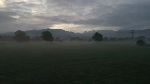 Field with trees in fog at dusk Stock Footage 266258372