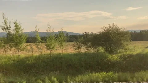 Field, Trees, Mountain (Tracking Shot) Stock Footage 156973308