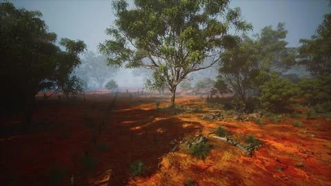 Field With Trees, Serene Landscape With a Distant Eucalyptus Grove Stock Illustration
