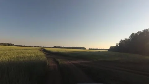 Field trip between two wheat fields Stock Footage 102268169