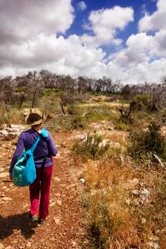 Field tripping Stock Photos