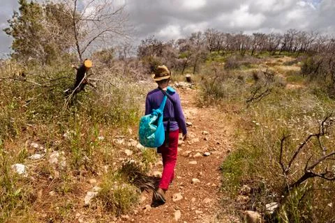 Field tripping Stock Photos