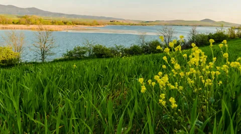 Field in Tuscany, Timelapse. Video stock 37566251