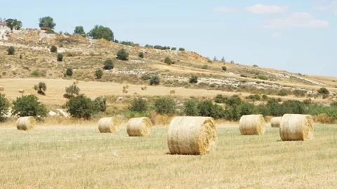 Field under blue sky in Larnaca, Cyprus. Rural landscape with golden haystacks Stock Footage 93805367