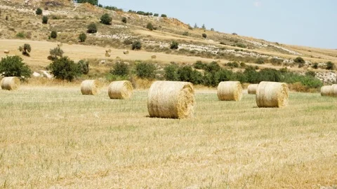 Field under blue sky in Larnaca, Cyprus. Rural landscape with golden haystacks Video stock 94342781