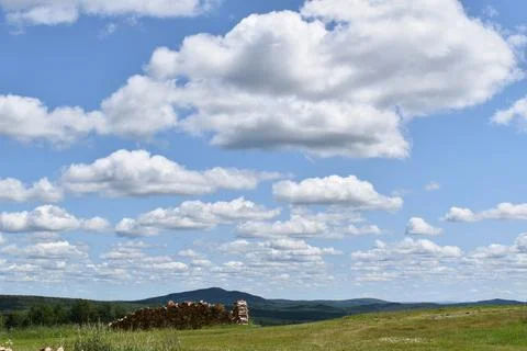 A field under a summer sky Stock Photos