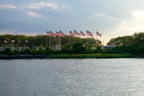 Field of US Flags -03 Stock Photos