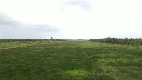 Field view from drone view Stock Footage 152548369