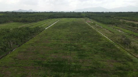 Field view from drone view Stock Footage 152548380