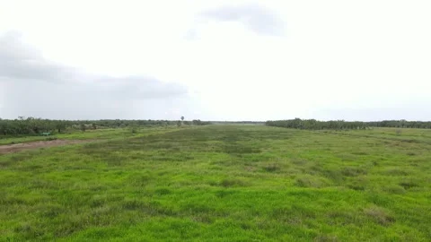 Field view from drone view Stock Footage 152548398