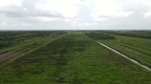 Field view from drone view Stock Footage 152548491