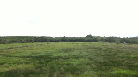 Field view from drone view Stock Footage 152548587