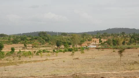 Field view with few trees, Mountain far view Video stock 156962157