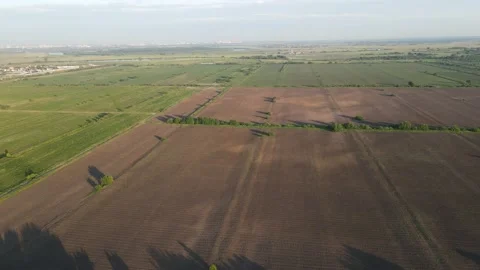 Field view Stock Footage 202231335