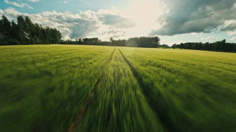 Field view Stock Footage 288156918