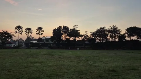 Field view Vídeo Stock 331042745