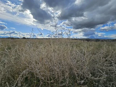 Field View with Sky Stock Photos