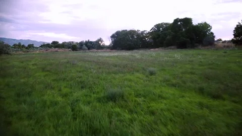 Field View Stock 動画素材 247228838