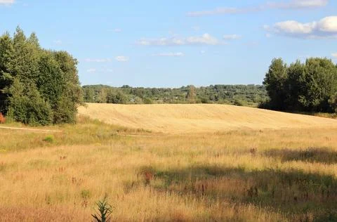 A field in the village Stock Photos