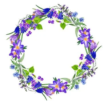Field violet flowers wreath with crocus, hand drawn watercolor Stock Illustration