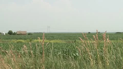 Field in Vojvodina 스톡 동영상 21659034