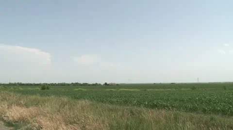 Field in Vojvodina Video stock 21663805
