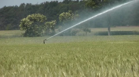Field watering Stock Footage 7730959