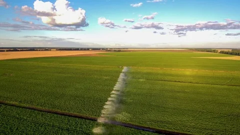 Field watering view. Stock Footage 79042179
