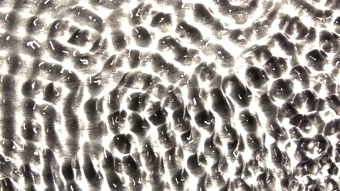 A field of wave forms change subtly over time. Vidéo 144631242