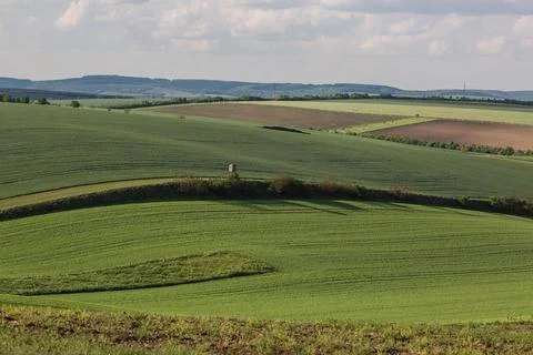 Field waves with trees in the spring in South Moravia, Czech Republic Stock Photos