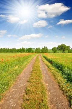 Field way  Stock Photos