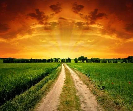 Field way Stock Photos